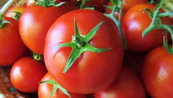 تصویر 1 از خرید عمده انواع رب گوجه فرنگی شیرین عسل با قیمت ویژه